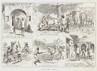 Buying a Pony in India by Alfred Courbould